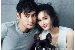 吃瓜大爆料明星名字,揭秘明星名字背后的惊人真相